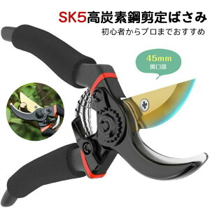 ΂ }؃oT~  J45mm S҂v܂ł sk5Yf| A~ ؂ꖡ ₷ Kтɂ bN[ K[fjO v ؙp }؂ ~ 