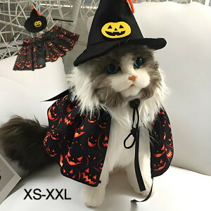 uvnEB ybg  L RXv }gXq 2_Zbg  ybg̕ L lR  RX`[  킢 ʋC _炩 nEB[  ϑ ߑ U 