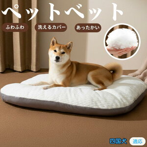 liShikoku Inuj ybgxbh ybg\t@ ybgNbV  L Ck lR xbh \t@ NbV NbV LNbV 􂦂 \ 􂦂Jo[t h  ӂ