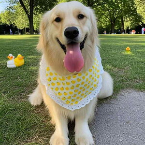 ybg  Lp 悾ꂩ ru o_i XJ[t ^ ^ ^ {[_[R[ R[M[ S[fgo[ TGh Č   փANZT[ Aq C`S t