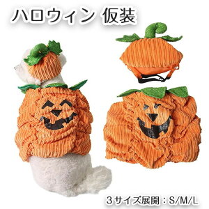  ڂ RX`[ nEBߑ 2_Zbg ybg RXv L   ڂ 蕨 RX`[  L \ ybgpi ANZT[ LO ʐ^Be