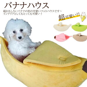 ybgQ oiinEX LQ ybgpxbh 낢oiifUCIybgnEX 킢 q L ybgxbg  K ETM  ӂӂ  V