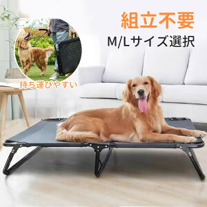 ybgxbh rt Rbg^ xbh ^ xbh g ~  Lvxbh nʂ痣 t ~J RpNg[ |[^u Lv ^ L ې􂢉\ ʋCQ  g