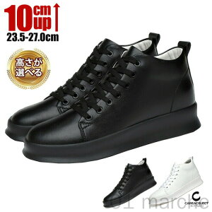 Xj[J[ Y 10cm 8cm 6cm   nCJbg PUU[ v [XAbv  V[Y C q[Abv gAbv ₷ y Vv 傫TCY JWA AE