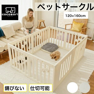 y15OFFN[|zybgT[N hAt ybgP[W Q[W Ch p p  T[N ybgtFX gCg[jO ^ gݗ  S  ybg