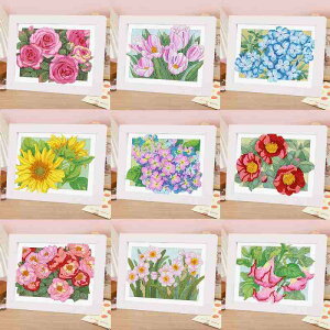 _ChA[g t[t S G߂̉ S9 _CAhA[g  񂽂 z  q H _ChyCeBO _ChtBbNX r[YA[gh