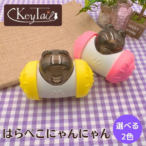 _Si|Cg5{SALE{I^ L  Hh~ Hׂh~ ^s  L̂  S2F L  Lbgt[h ˂炵 L炵  L[e