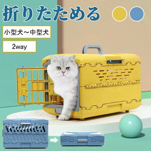 2024ǔ!y܂肽/GAgxL[/^`^/2wayzybgL[ L[P[X L[obO GAgxL[ ybgQ[W ybgnEX L[ ybgL