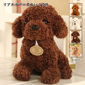 A  ʂ   ؂̂ AS[h A}bRCY At@[ AtH[X  Ck AȃefB bL[ps[ 킢 ʂ