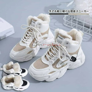 {AXj[J[ fB[X Xj[J[ N ~  Xj[J[ V[Y h ₷ V