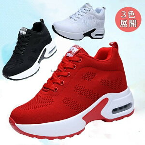 EH[LOV[Y Xj[J[ fB[X r gAbv    ^ ʊw ʋ ʋC L y ʋC ɂ ₷  Xj[J[ ɂȂ Ȃ ₷ 