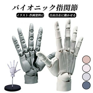 1/1nhf  L R  ͌^ E lC`bvt ȂX^ht Aj fbTpf̔p tBMA XLJ[ f nh 1/1nhf CXg fbT