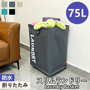 h[oXPbg X h[{bNX 󂩂 󕨓    LX^[ h[ S ȃXy[X e h k ܂肽 Jo[  gݗ