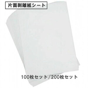 A4TCY Жʔ S䎆 A4TCYo xV[ t[NV[ V[g fB[X