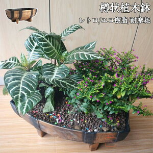 Aؔ ϏܐA vX`bN ؃oPc` g  A O lHA  A Rei {bNX  xbh  |bg p A A {bNX  Aؔ