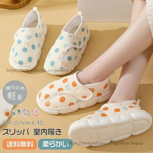 yz[V[Y @ V[Y ƕt fB[X   ܂ g S ȓ g 􂦂