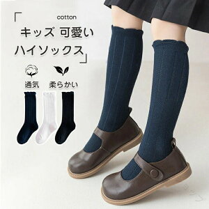 3Zbg LbY nC\bNX ̎qp Vvmg[ C Pl{t ȑf w Ǝ \ ʊwʉtH[}n tďH~Ή