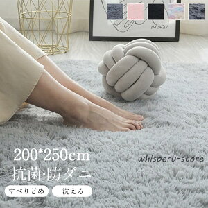 ���O ���O�}�b�g �􂦂�J�[�y�b�g �V���M�[���O �z�b�g�J�[�y�b�g�J�o�[ �J�[�y�b�g �􂦂� �k�� 200*250 ���r���O �O�~ ����� ���[�g�� �� C-42