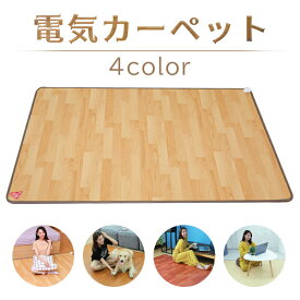 ホットカーペット 電気マット フローリング調 木目調 撥水仕様 30x50cm 50x55cm 50x80cm 50x100cm 50x150cm 50x180cm 50x200cm サイズ選べる リビング用 オフィス用