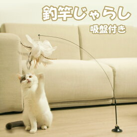 じゃらし おもちゃ 吸盤 固定 猫用 釣竿じゃらし 吸盤付き 取り外し可能 猫や犬のお留守番運動不足解消猫おもちゃ 猫のおもちゃ屋内猫用猫おもちゃ子猫プレイチェイスエクササイズ（3点セット）