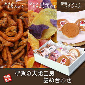 َq lߍ킹 Y Ƃ |eg`bvX }h[ki EkCj