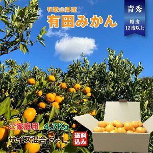 ݂ Lc݂ 󂠂 (ꕔn揜j a̎R G S`LTCY 4.7kg