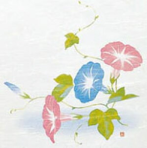 5_a΂܂Ɓ@lG y(5) 100zWTCY ٓ `{bNX  [{bNX VR ؐ @ؕٓ@ypzyƖpz  ~ ~ 