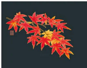 3 RێlG ܂ H̉ y(3) 50zWTCY ٓ `{bNX  [{bNX VR ؐ @ؕٓ@ypz}bg H X HX  ~ ~ 