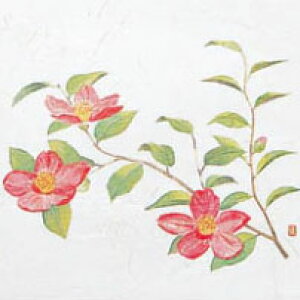 5_a΂܂Ɓ@lG y(5) 100zWTCY ٓ `{bNX  [{bNX VR ؐ @ؕٓ@ypzyƖpz  ~ ~ 