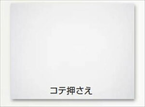 yő3~N[|zzz[J[ xm쌚ލH   ij [FUJIKAWA-00011529] zpdグh