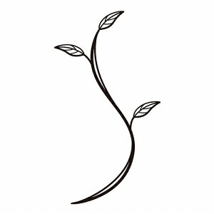 yLINEN[|zzz\DIvV fR[V u` [WS-20A] Pi ZNtg [J[