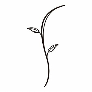 yLINEN[|zzz\DIvV fR[V u` [WS-20B] Pi ZNtg [J[