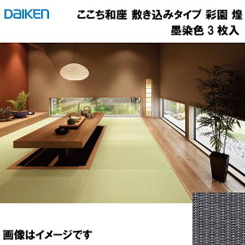 和紙畳 ここち和座 敷き込みタイプ 3枚入り 大建 DAIKEN [YQ6509-3] 彩園 煌 墨染色 12mm厚さ 880×880mm 下地の落とし込み不要 和モダン 置き畳 メーカー直送