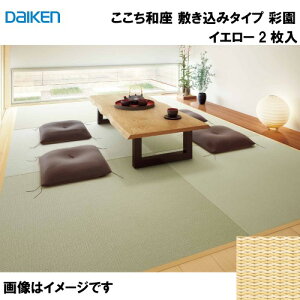 yLINEN[|zzza a ~݃^Cv 2 匚 DAIKEN [YQ5002-21] ʉ CG[ 12mm 970×970mm n̗Ƃݕsv [J[