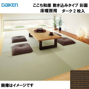 a a ~݃^Cv 2 匚 DAIKEN [YQ5006T-2] g[pʉ _[N 12mm 880×880mm n̗Ƃݕsv [J[