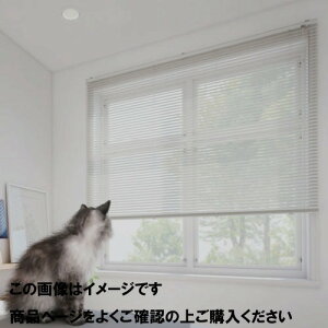 �y�ő�3���~�N�[�|���z�z����26��1:59�܂Łz�C���e���A�u���C���h �W���d�l ��221~240×����121~140cm [IBHJ221-240-121-140] �J�[�e�� ����@�H �^�`�J�� �ύX�E�L�����Z���s�� ���[�J�[����