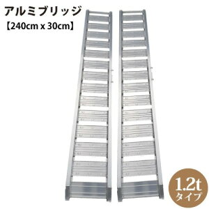 �y�ő�3���~�N�[�|���z�z����16��01:59�܂Łz�y�g���b�N �A���~�u���b�W 2�{1�g 1.2t�^�C�v [194039] ����240cm×��30cm �c�����t�b�N ������(�����)�t �V���Z�C ���[�J�[����