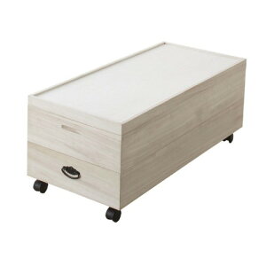 �yLINE�N�[�|���z�z���z�ߗރP�[�X ���ˈߑ��P�[�X2�i �L���X�^�[�t �a�� [4954877941002] W91×D41.5×H36.5cm ���� ���� �ߑ� �����i �N���V�I ���[�J�[����