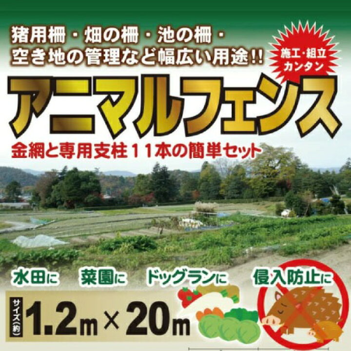 楽天市場】【最大3万円クーポン配布中☆26日01:59まで】アニマル 