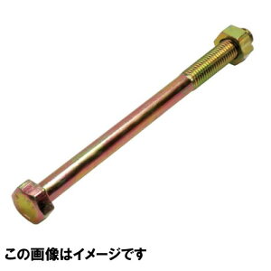 �yLINE�N�[�|���z�z���zZ�}�[�N �Z�p�{���g �i�b�g�t 50�{ M12×540mm [050135300] �H�q�{���g�̂��񂴂� �z�[���_�E�������Ƃ��킹�Ďg�p����{���g