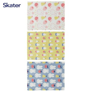 btnӂ 3Zbg ~btB[ KFWC3 XP[^[ Skater [4973307674518] zɂꂽ100 H@ z tL Lb`NX y