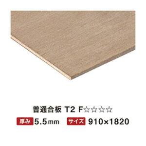 ʍ T2 5.5mm 910×1820 F y֐ꕔn菤iz