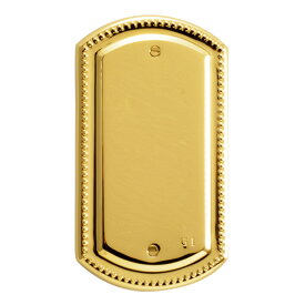 真鍮 スイッチプレート(フルカラーシリーズ用)PB00 金色 PVD加工 アンティーク ブラス 雑貨 [790080] ゴーリキアイランド