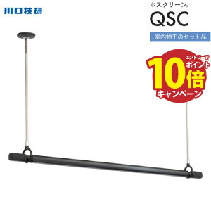 yGg[Ń|Cg10{zzXN[ pƃZbg ubN Z [QSCL-15-BK] QL-15-BK1{{SPCL-BK2{̃Zbg VtX|bg^  
