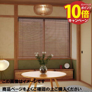 yGg[Ń|Cg10{zEbhuCh 25mmXbg|[ 161~180cm×30~80 [UB25P30-80-161-180] uChJ[e ^`J @H [J[