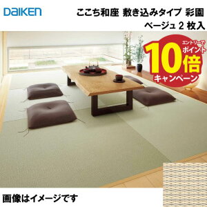 yGg[Ń|Cg10{za a ~݃^Cv 2 匚 DAIKEN [YQ5004-21] ʉ x[W 12mm 970×970mm n̗Ƃݕsv [J[