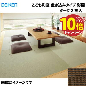 yGg[Ń|Cg10{za a ~݃^Cv 2 匚 DAIKEN [YQ5006-21] ʉ _[N 12mm 970×970mm n̗Ƃݕsv [J[