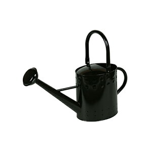 yLINEN[|zzzWE(ubN) [81518] W655×H465×D210 mΑn GARDEN COLLECTIONT(K[fRNV) [J[