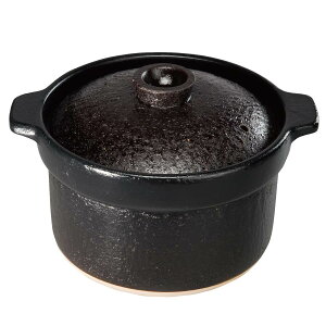 iC pѓyu܂ǂ񎩓vi2j RTR-20IGA2 [y烂[hp]sz^CvAt