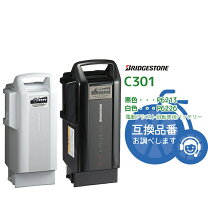 楽天市場】ブリヂストン リチウムイオンバッテリー 充電器（スポーツ 